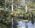 El paisaje impresionista de Duck Pond Río Theodore Robinson